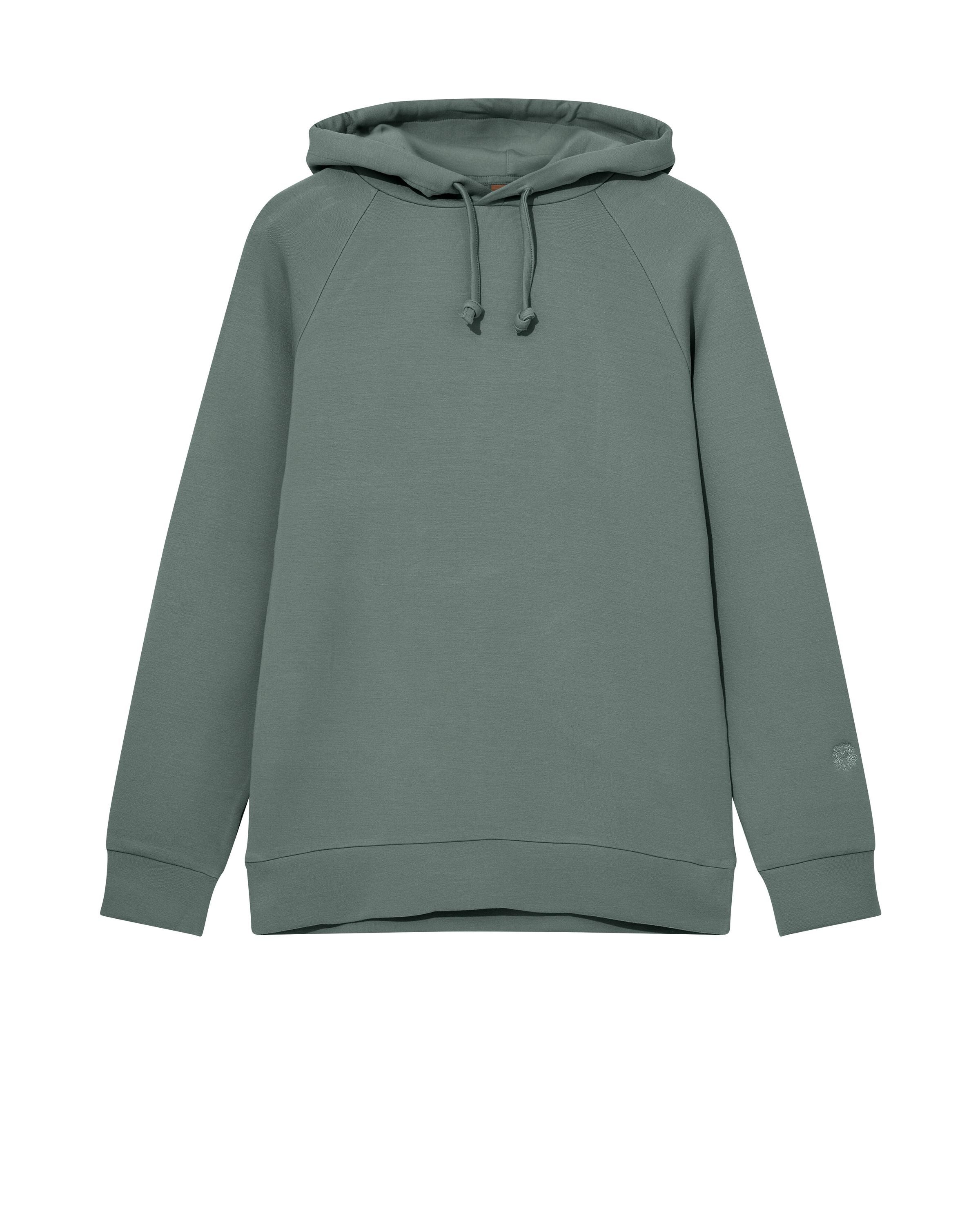 Hoodie aus Viskosemix - 555 Ice Greenville - Grün