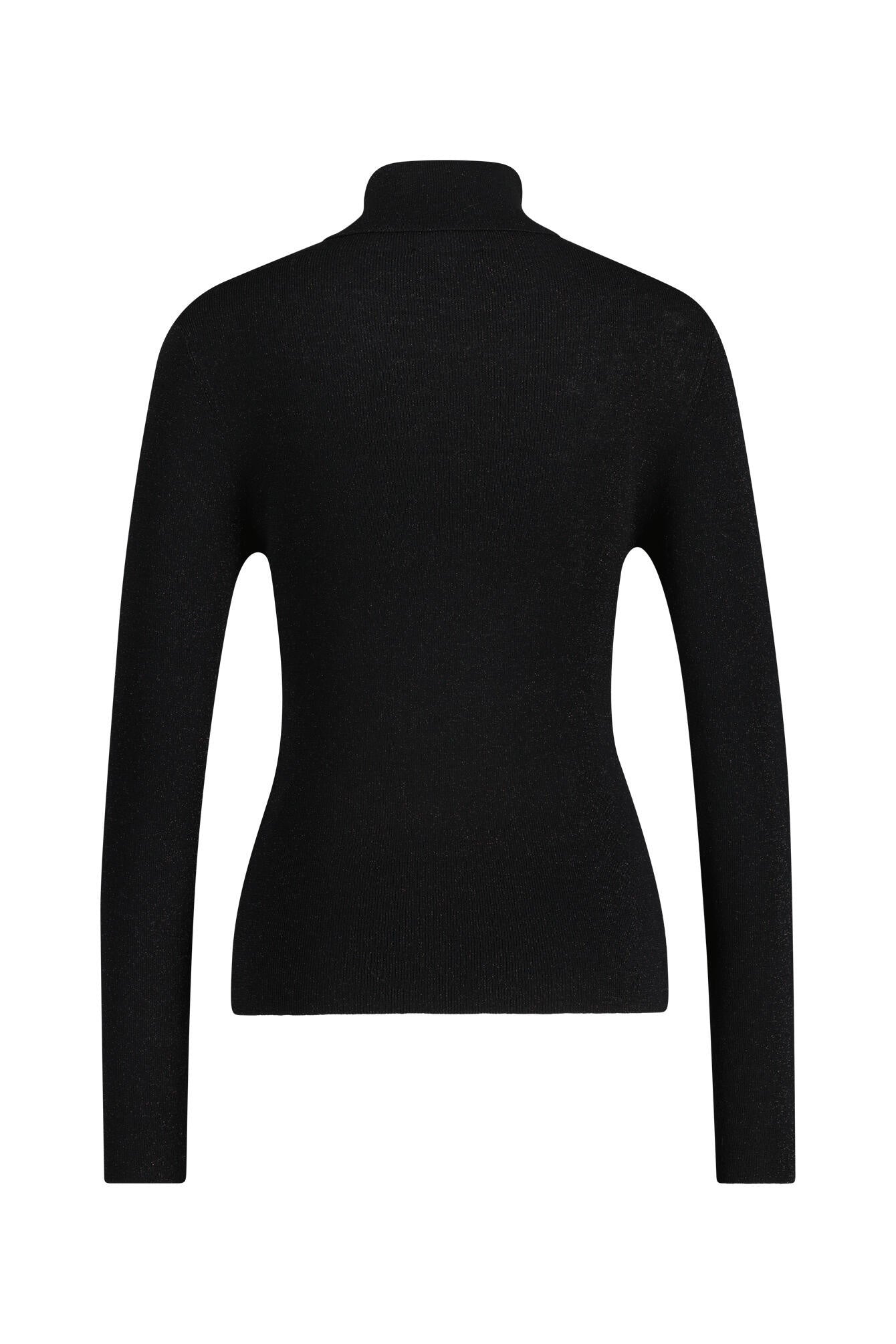 Rollkragenpullover - 113 Black - Schwarz