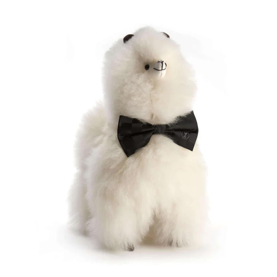 Kuscheltier PACO L aus Alpaka - Pearl White - Weiß