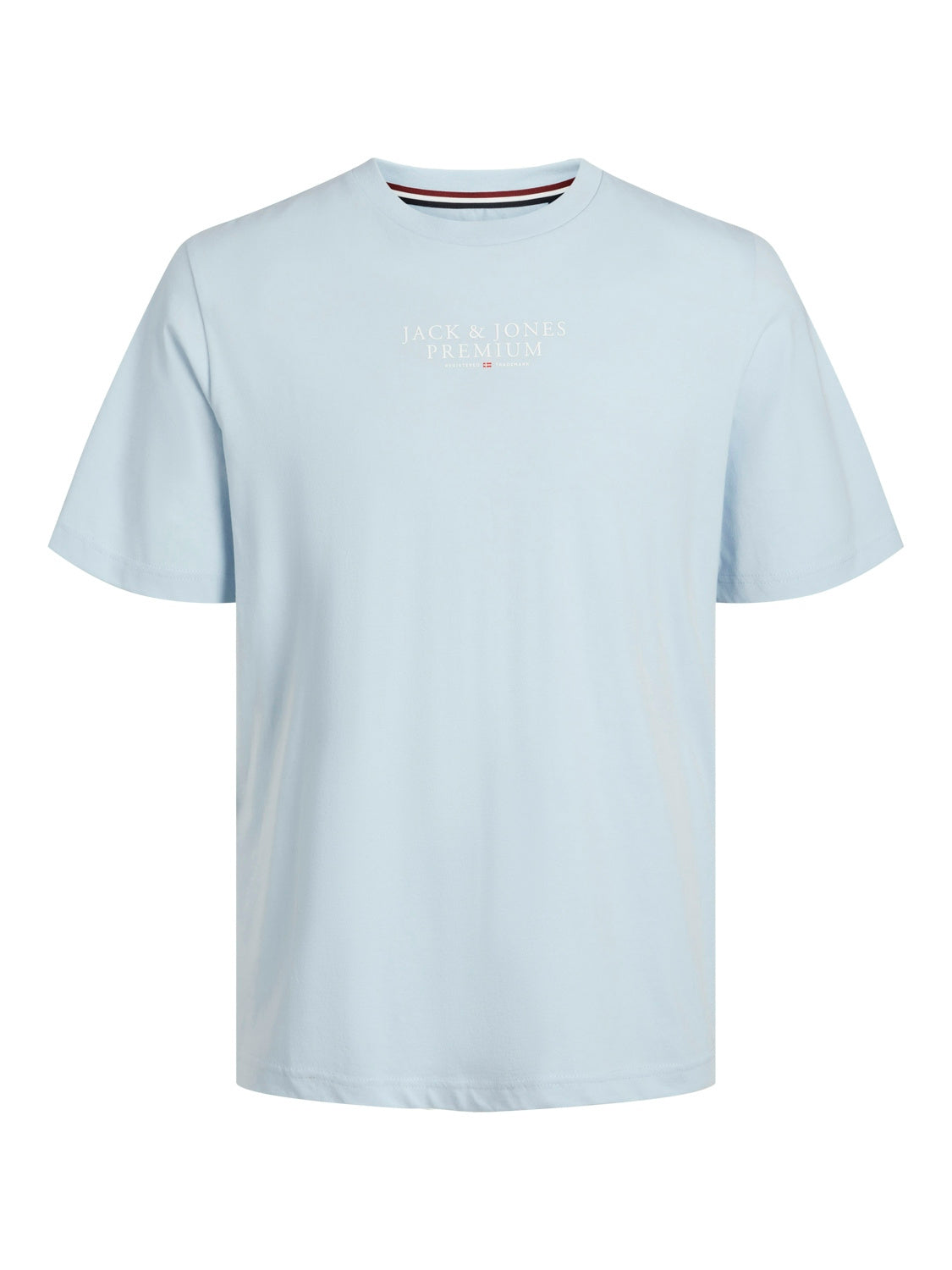 T-Shirt mit Logoprint - Skyway - Blau