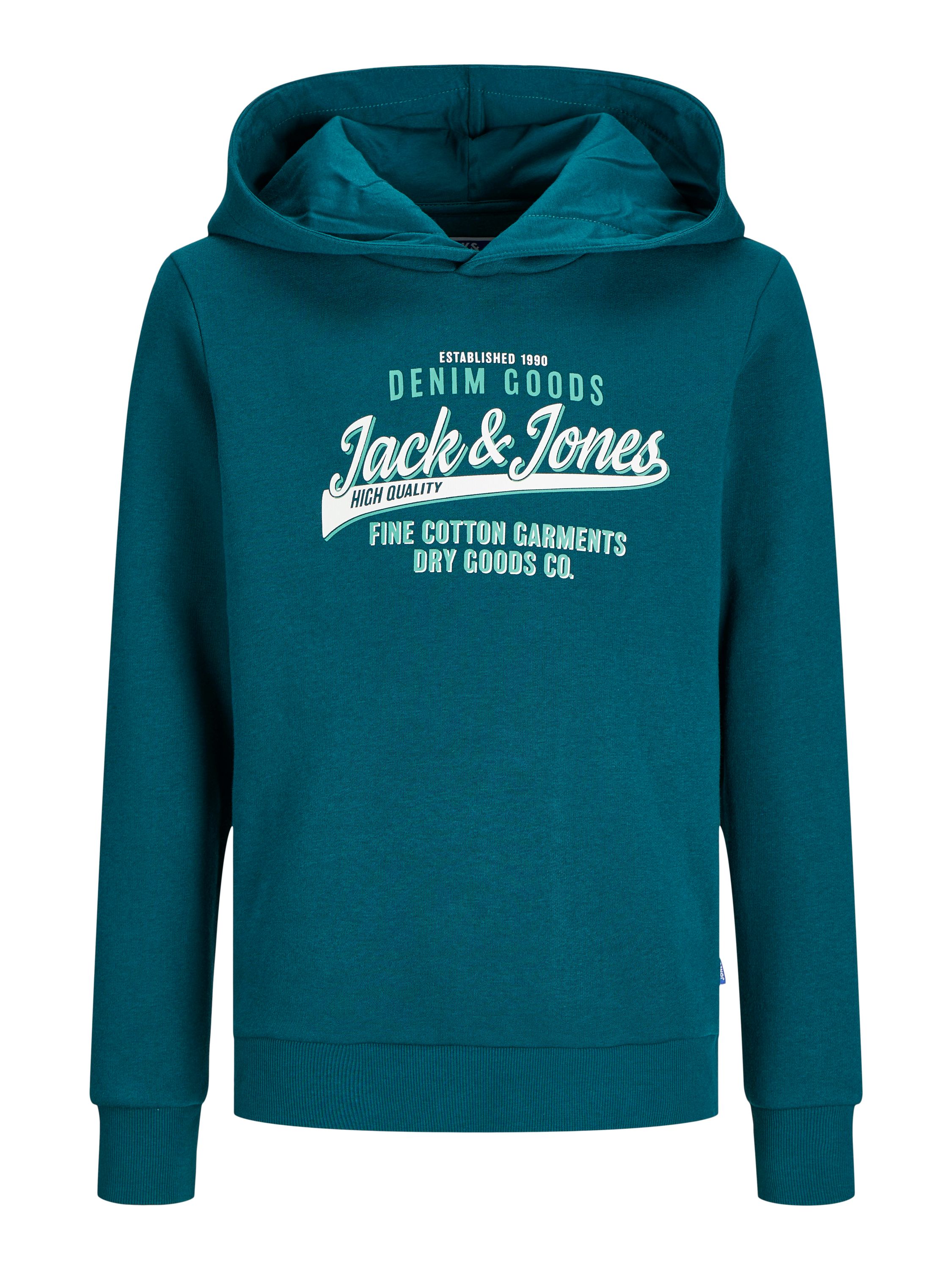 Sweathoodie mit Logoprint - Deep Teal/WHITE + WINTER GREEN - Grün