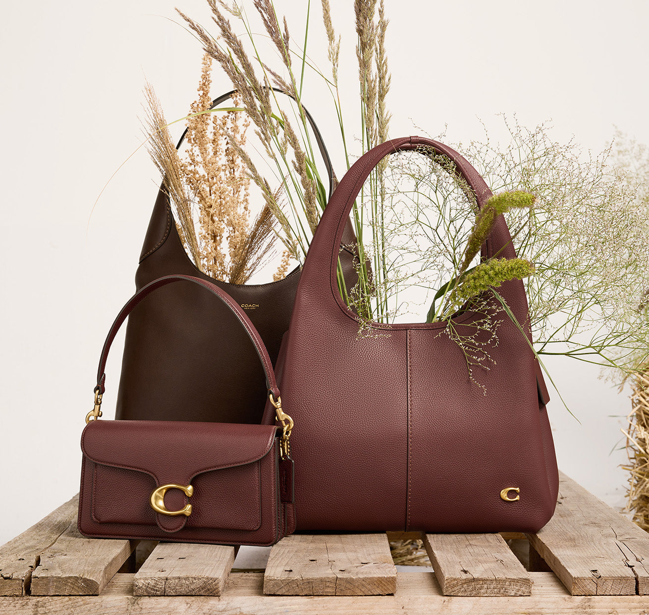 Coach Tasche