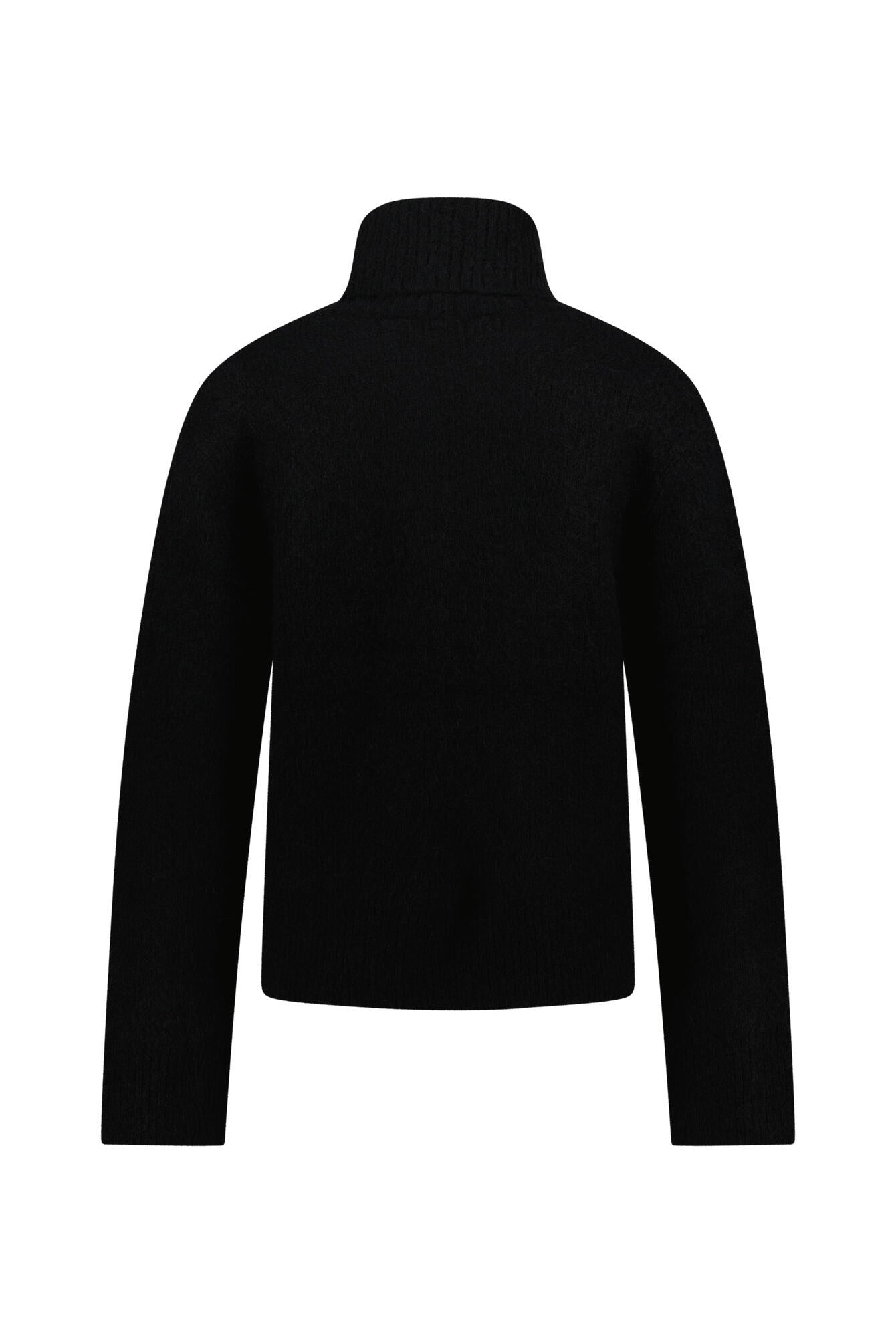 Rollkragenpullover - 801 Black - Schwarz