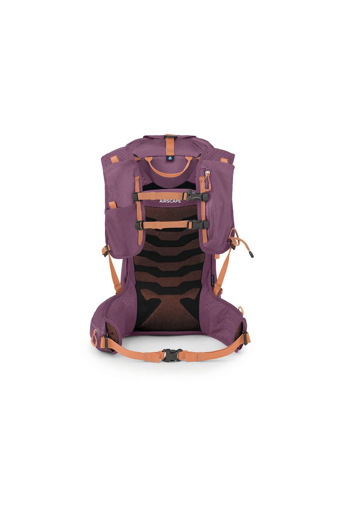 Wanderrucksack Tempest Velocity 20 - ka - Violett