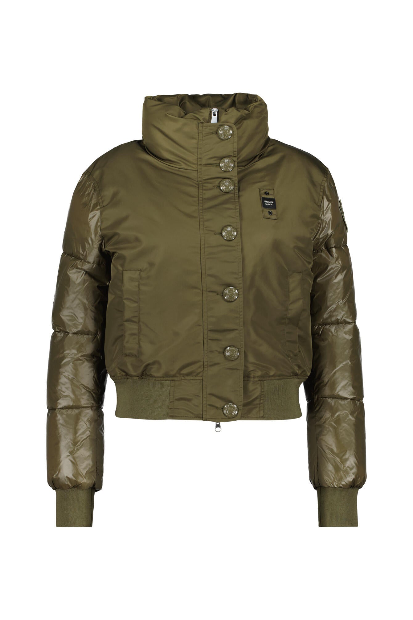 Bomberjacke Ames - 672 Green Alligator - Grün