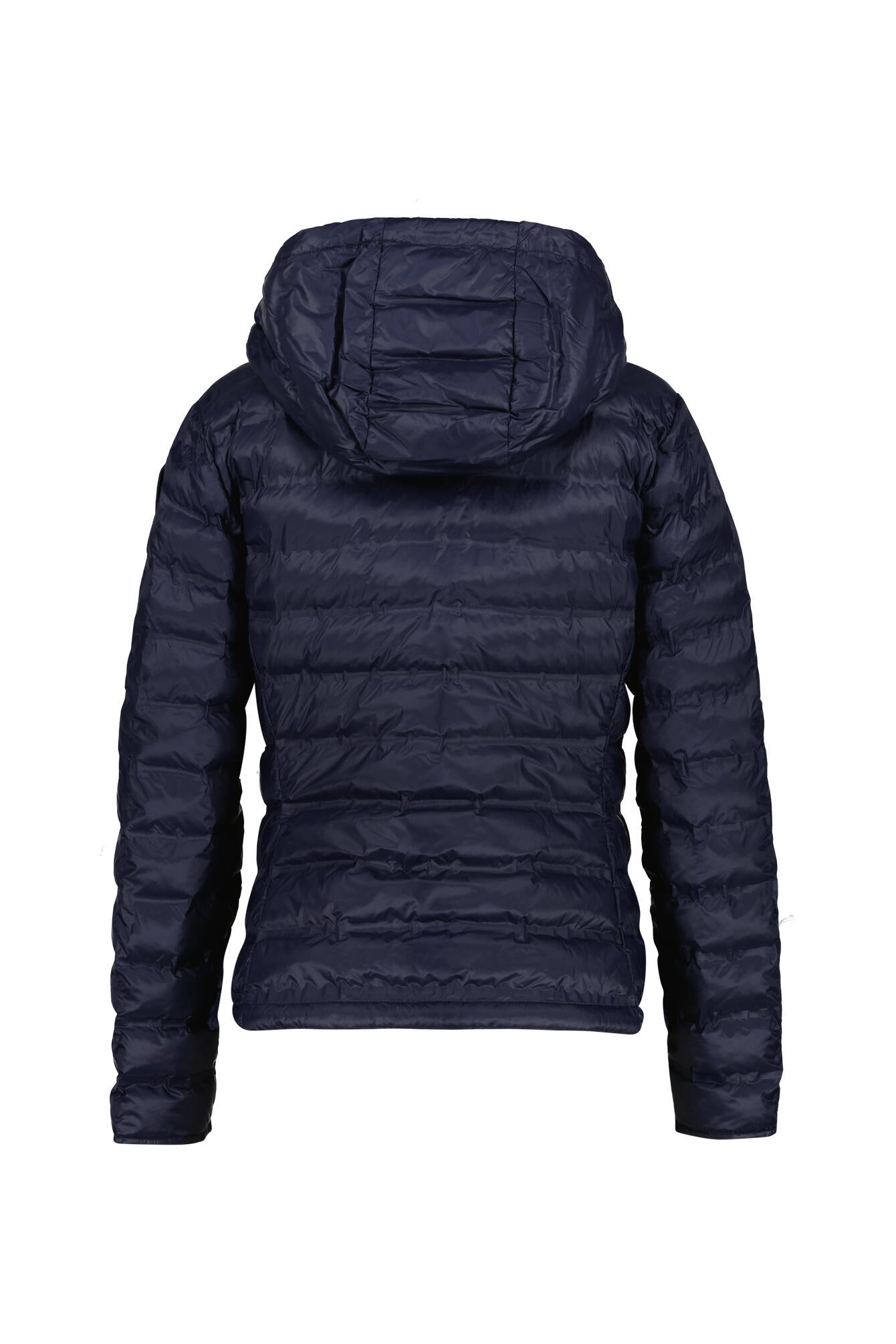 Leichte Steppjacke ELLIS - 888 Blue - Blau