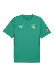 Herren VFR Voxtrup Trainingsshirt - 005-SPORT GREEN-PUMA WHITE-POW - Grün