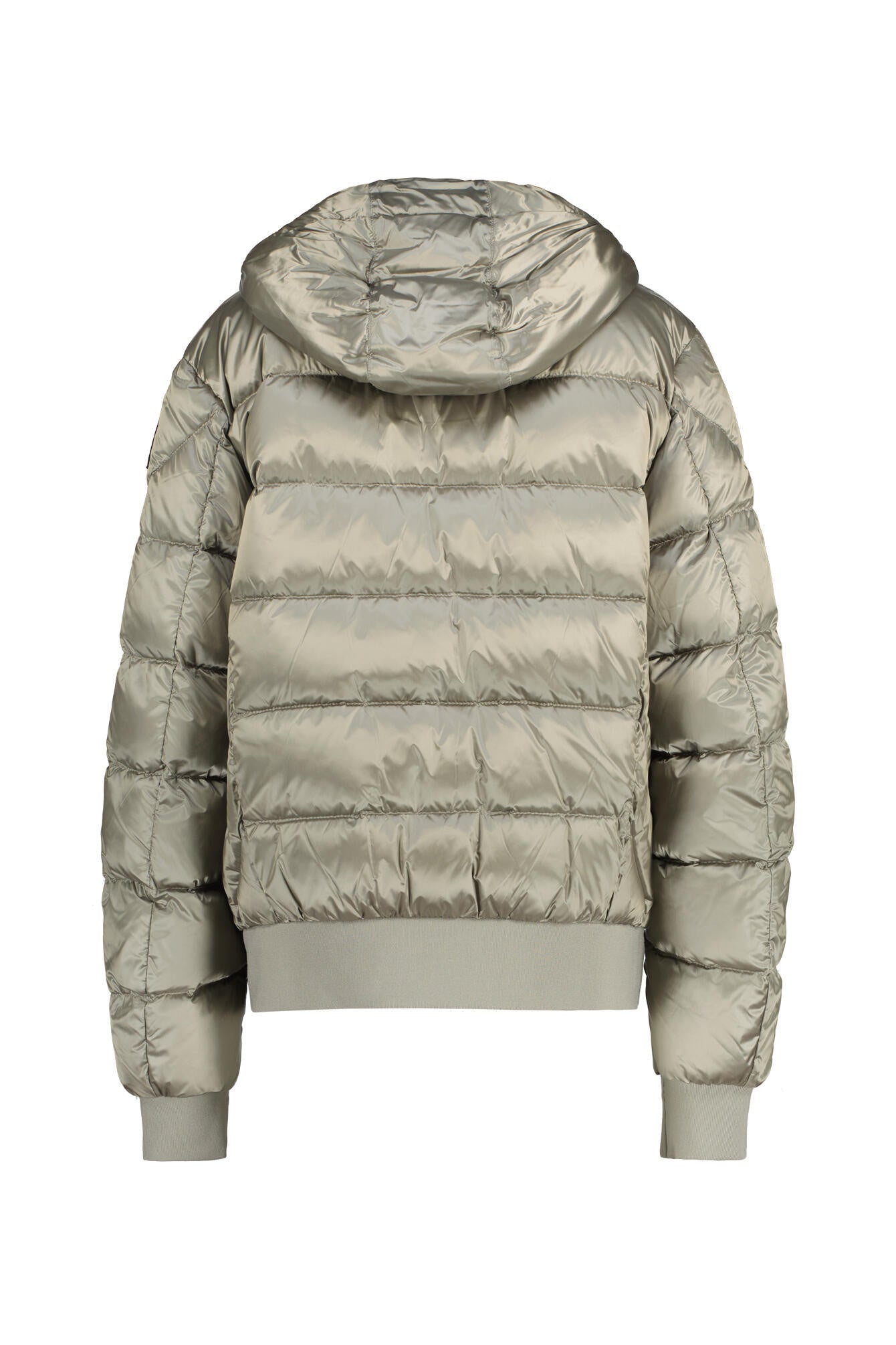 Daunenjacke PHARELL mit Kapuze - 0225 Nowhere - Grün