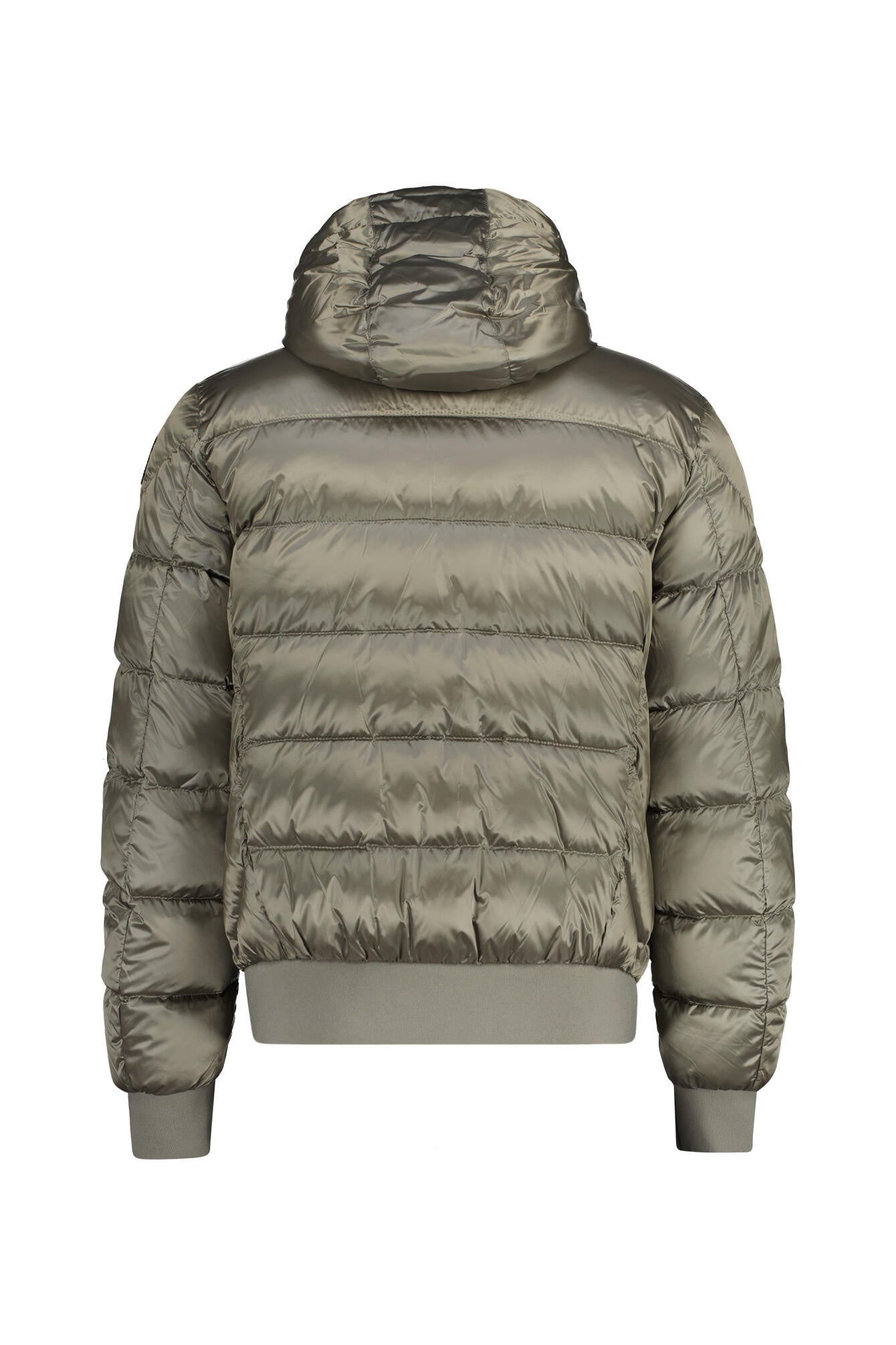 Daunenjacke PHARELL mit Kapuze - 0225 Nowhere - Grün