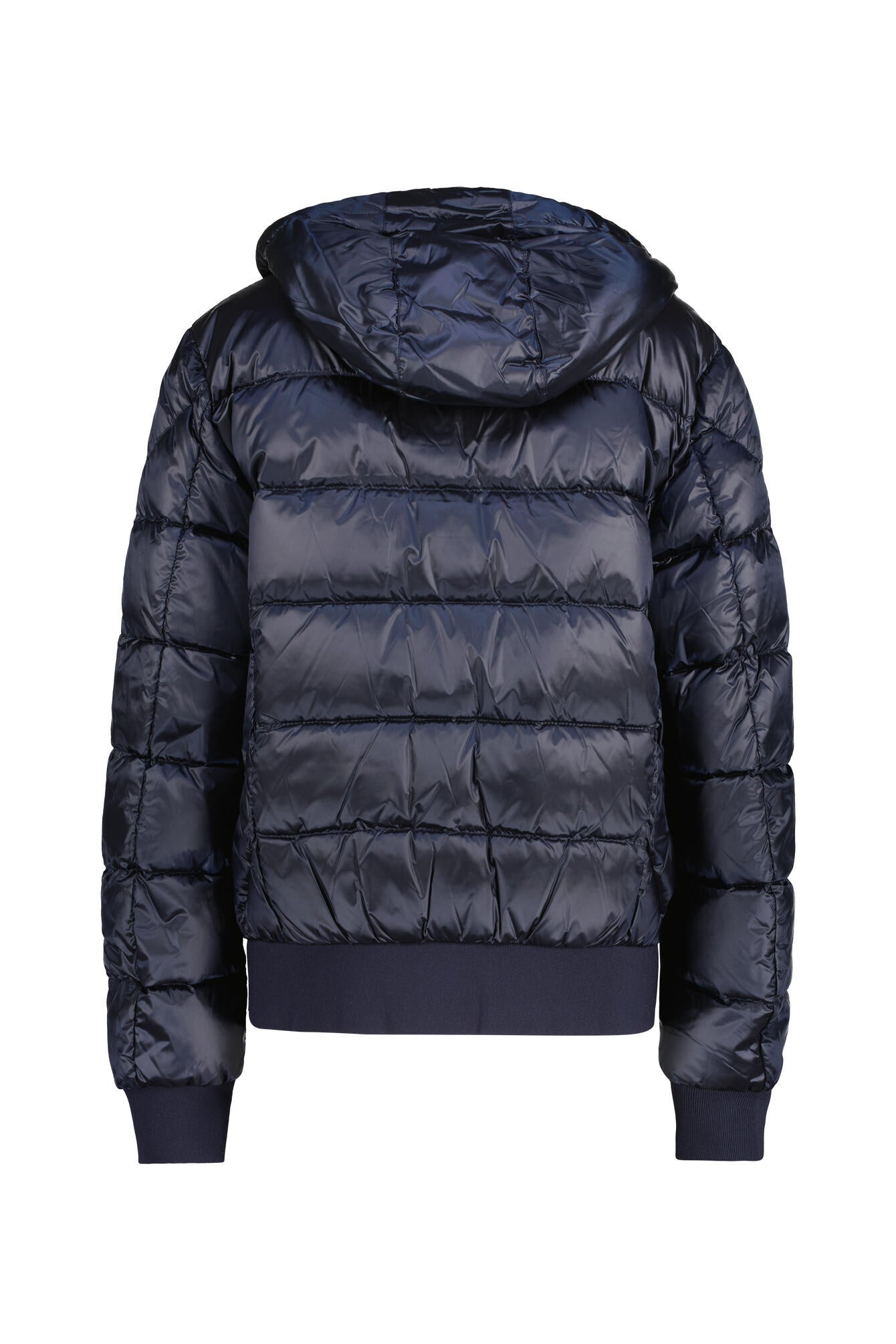 Daunenjacke PHARELL mit Kapuze - 0316 Blue Navy - Blau