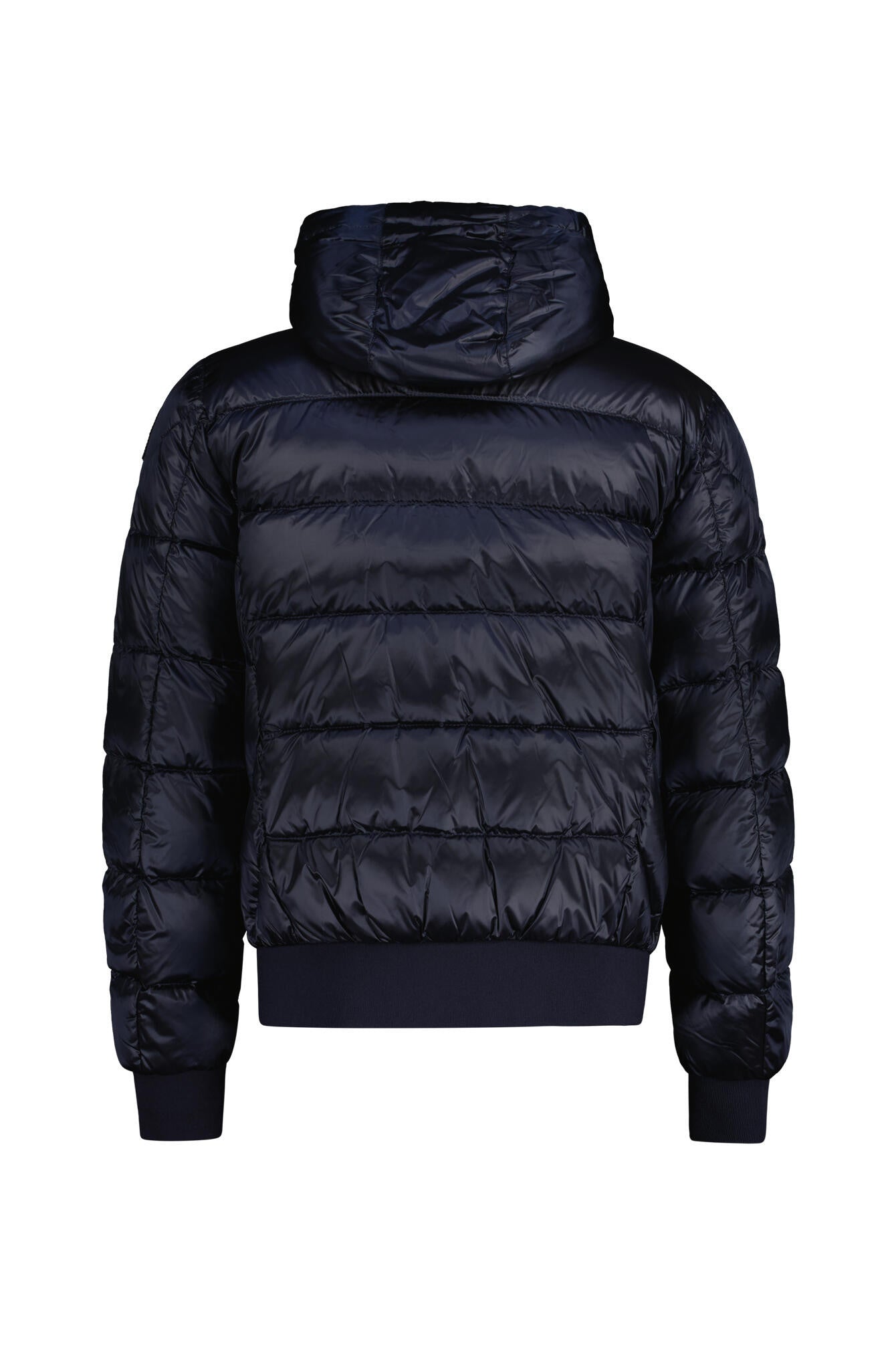 Daunenjacke PHARELL mit Kapuze - 0316 Blue Navy - Blau