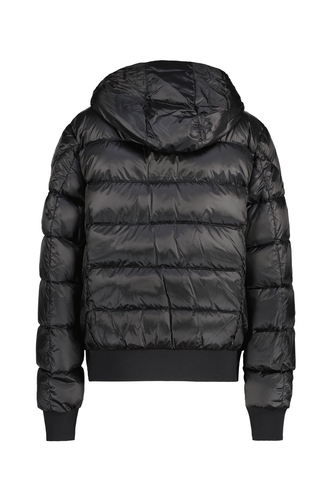 Daunenjacke PHARELL mit Kapuze - 0541 Black - Schwarz