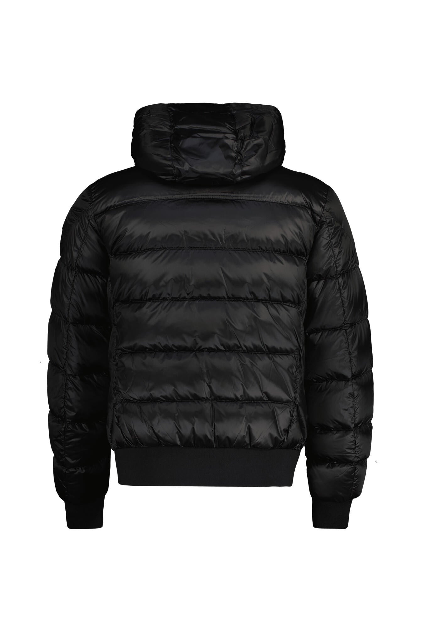 Daunenjacke PHARELL mit Kapuze - 0541 Black - Schwarz