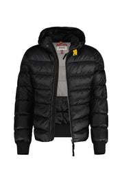 Daunenjacke PHARELL mit Kapuze - 0541 Black - Schwarz