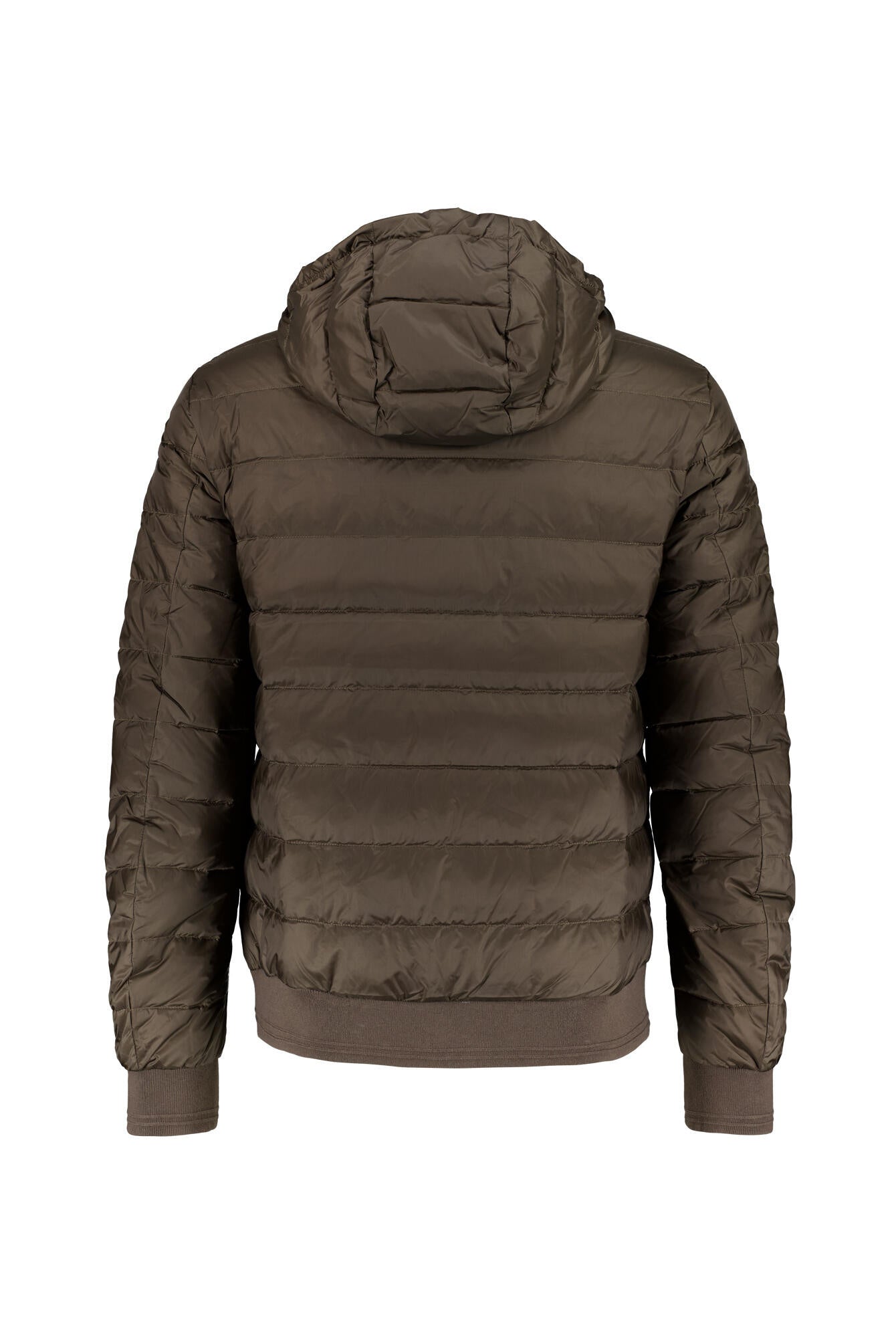 Daunenjacke CONTROL mit Kapuze - Major Brown - Braun