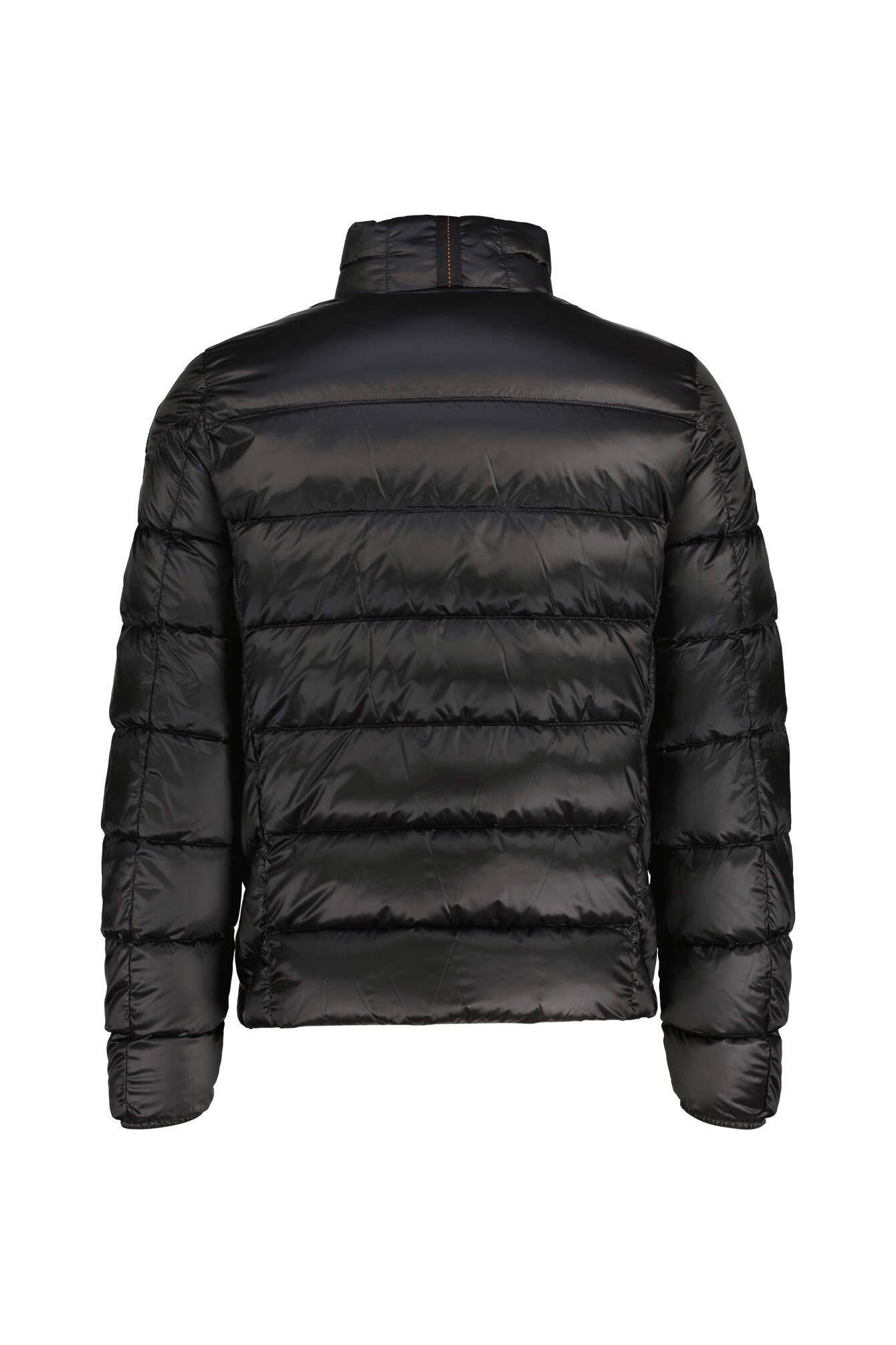 Daunenjacke DILLON mit Stehkragen - 0541 Black - Schwarz