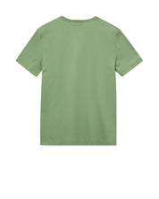 T-Shirt PERRY aus Baumwolle - 231 Watercress - Grün