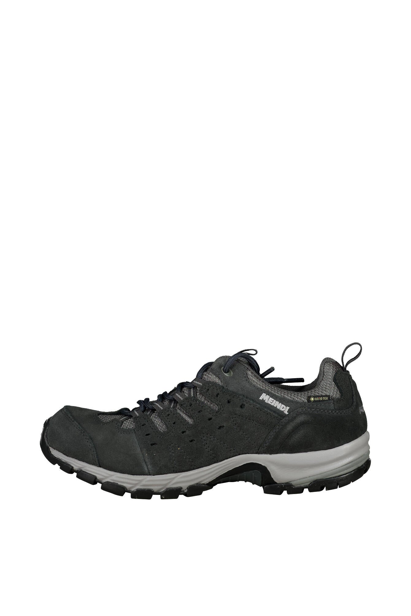 Wanderschuhe Rapide GTX - 031-anthrazit - Grau