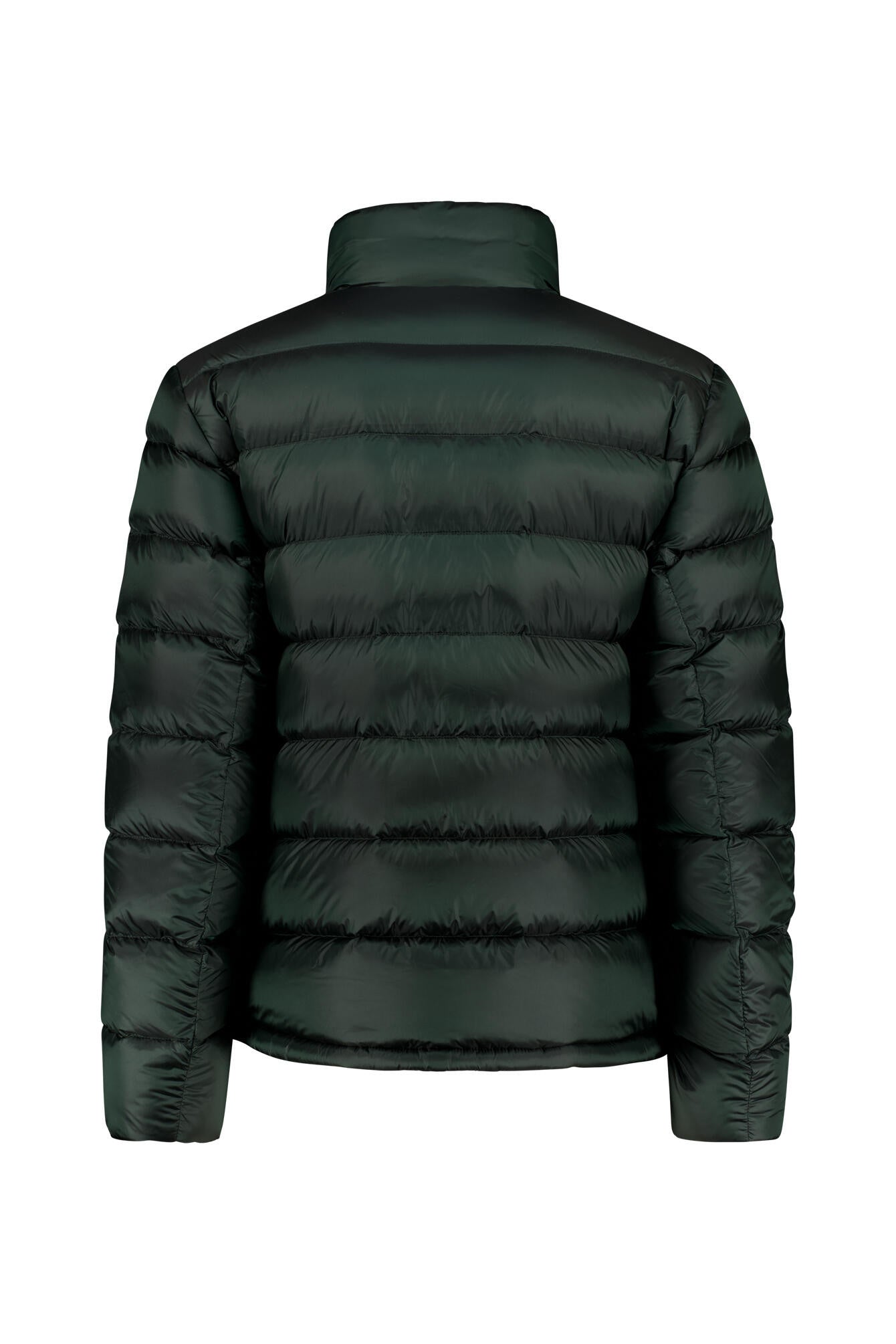 Daunenjacke HUGH mit Stehkragen - 278 - Grün