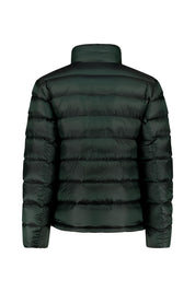 Daunenjacke HUGH mit Stehkragen - 278 - Grün