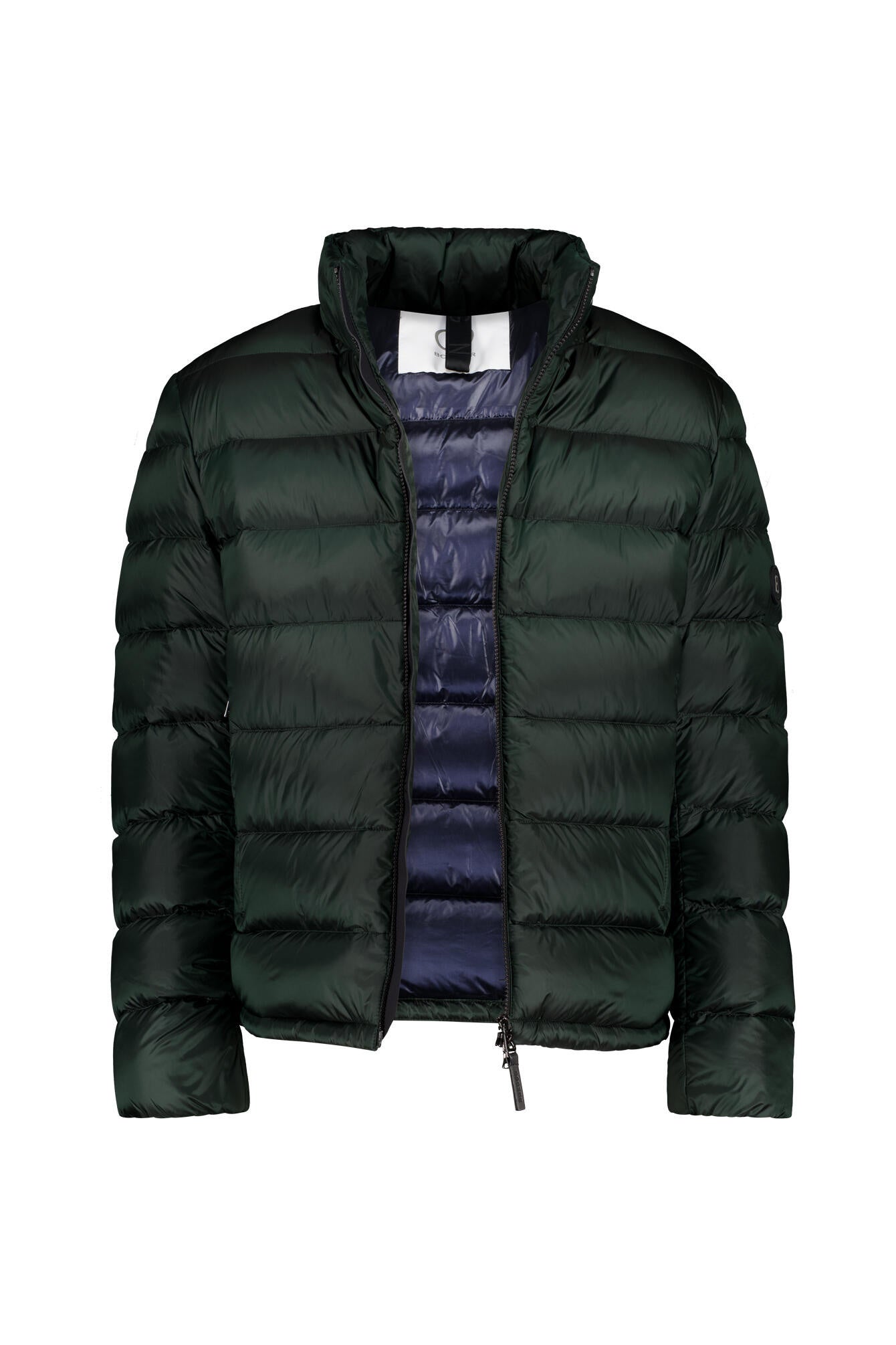 Daunenjacke HUGH mit Stehkragen - 278 - Grün