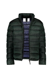 Daunenjacke HUGH mit Stehkragen - 278 - Grün