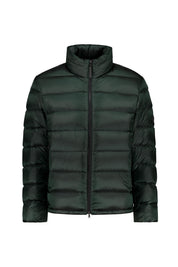 Daunenjacke HUGH mit Stehkragen - 278 - Grün
