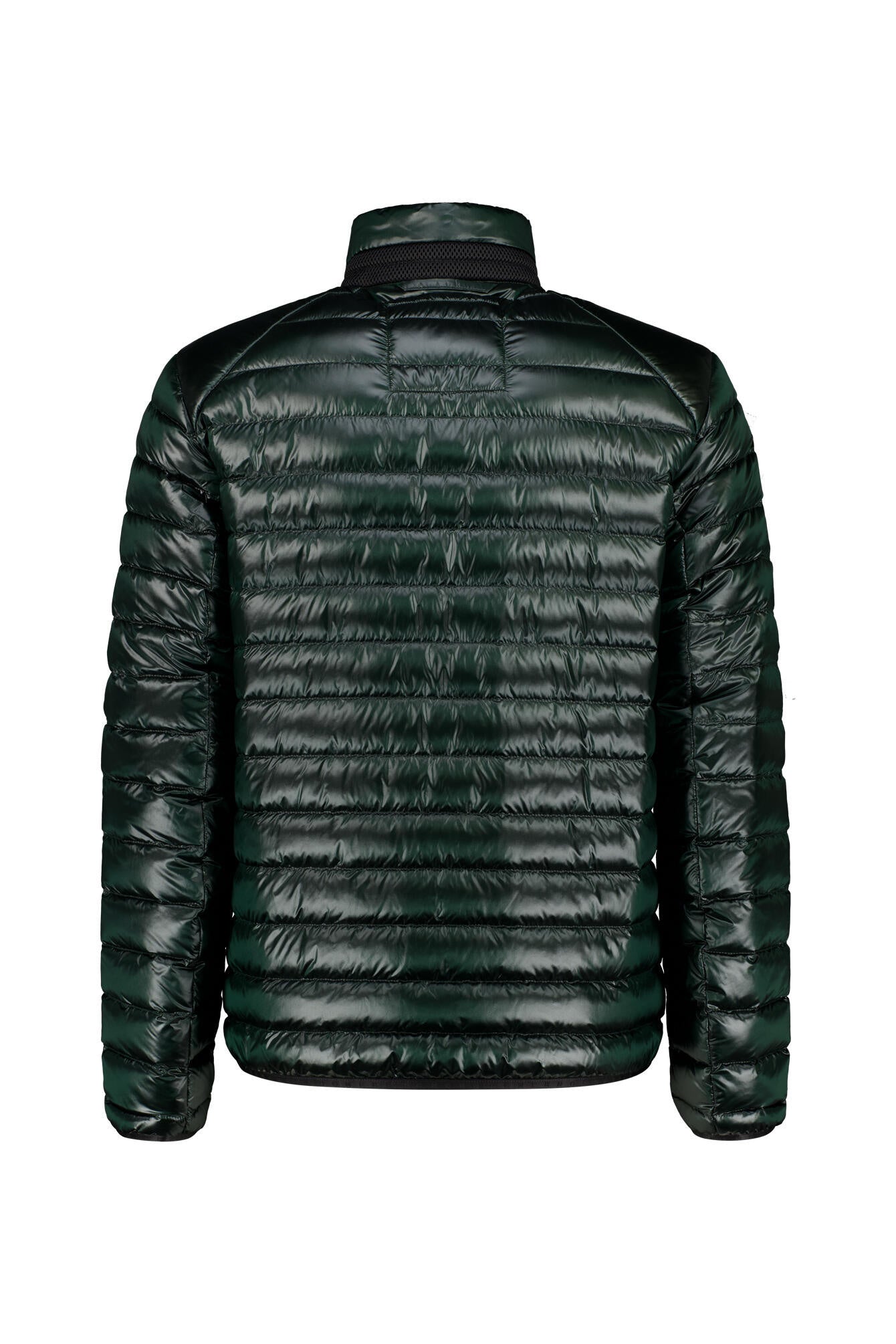 Daunenjacke LIMAN mit Stehkragen - 278 - Grün