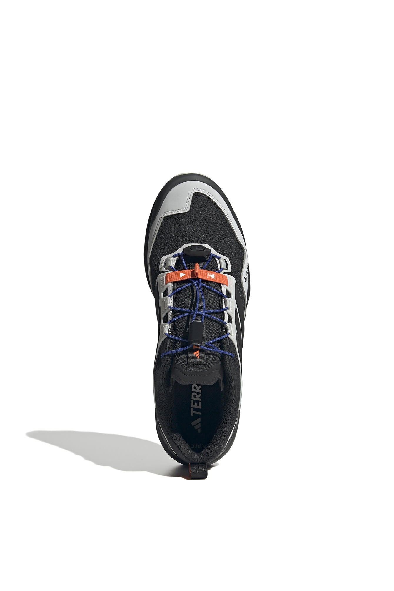 Wanderschuhe TERREX SKYCHASER GTX - CBLACK/CBLACK/GREONE - Grau
