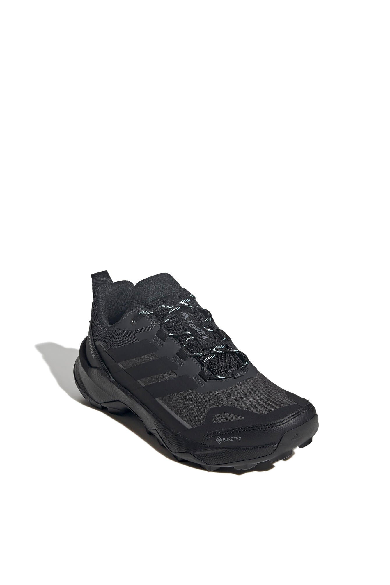 Wanderschuhe TERREX SKYCHASER AX5 GTX - CARBON/CBLACK/SEFLAQ - Schwarz