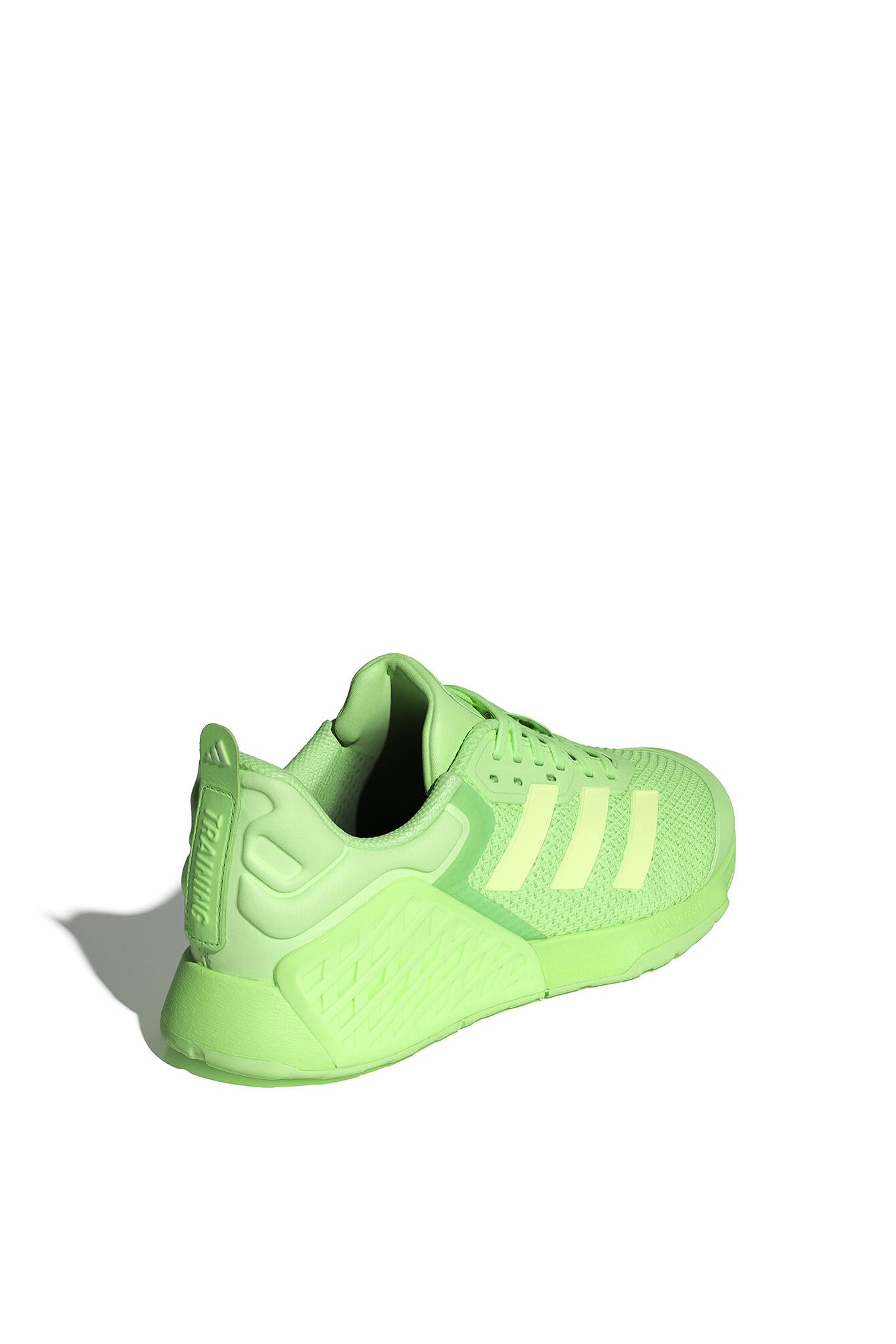 Sportschuhe DROPSET 3 TRAINER - LIMBUR/SEGRSP/LIMBUR - Grün