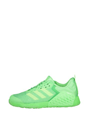 Sportschuhe DROPSET 3 TRAINER - LIMBUR/SEGRSP/LIMBUR - Grün