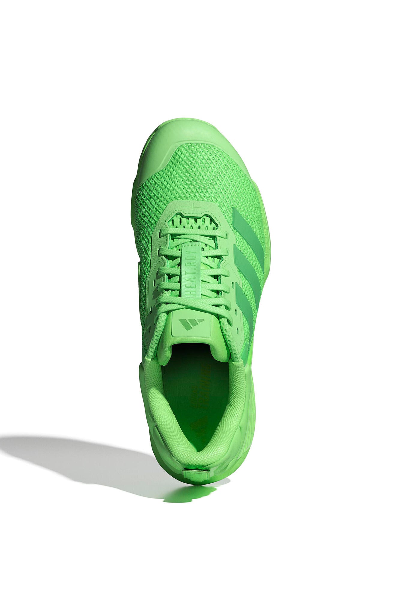 Sportschuhe DROPSET 3 TRAINER - LIMBUR/SESOLI/SEGRSP - Grün