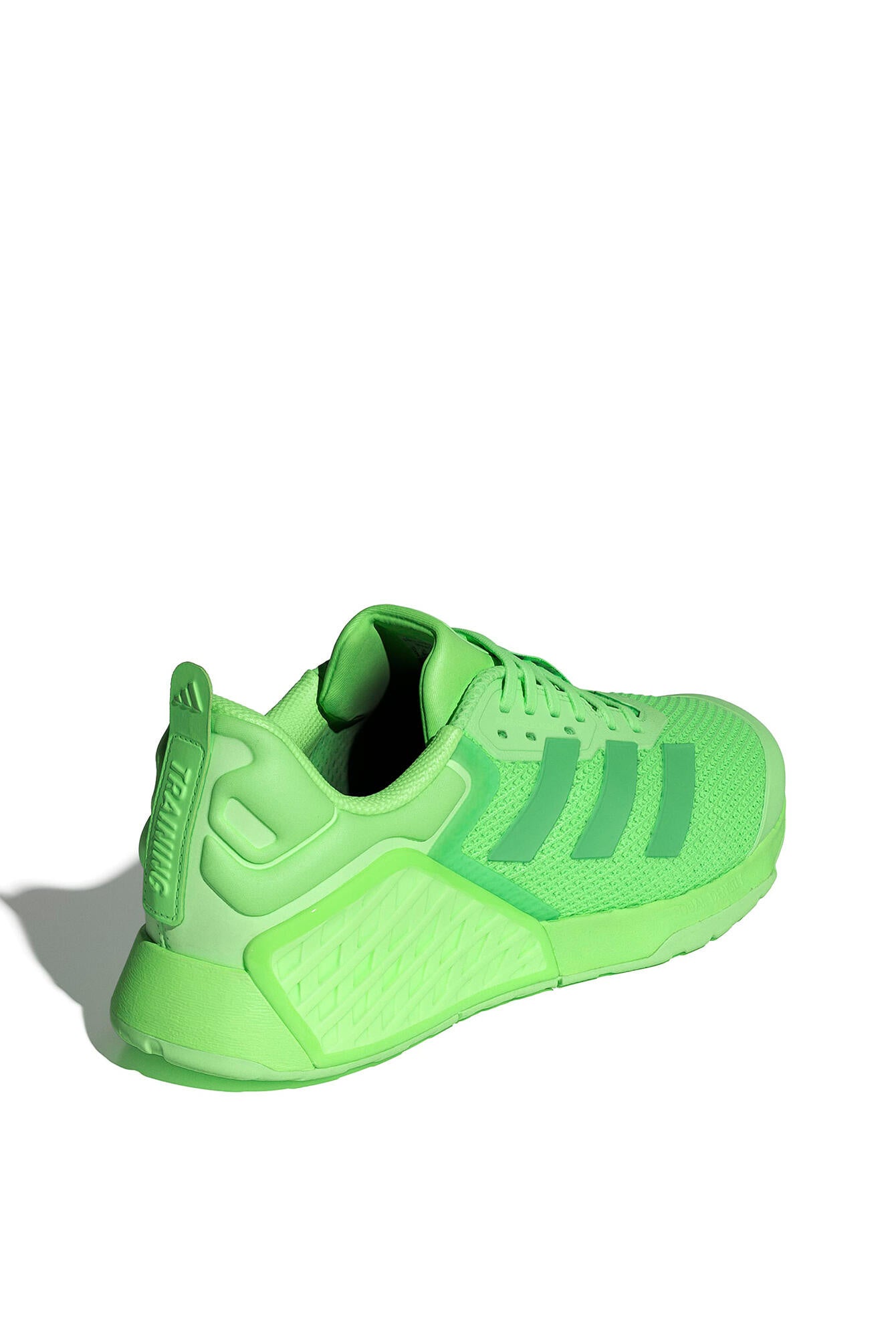 Sportschuhe DROPSET 3 TRAINER - LIMBUR/SESOLI/SEGRSP - Grün