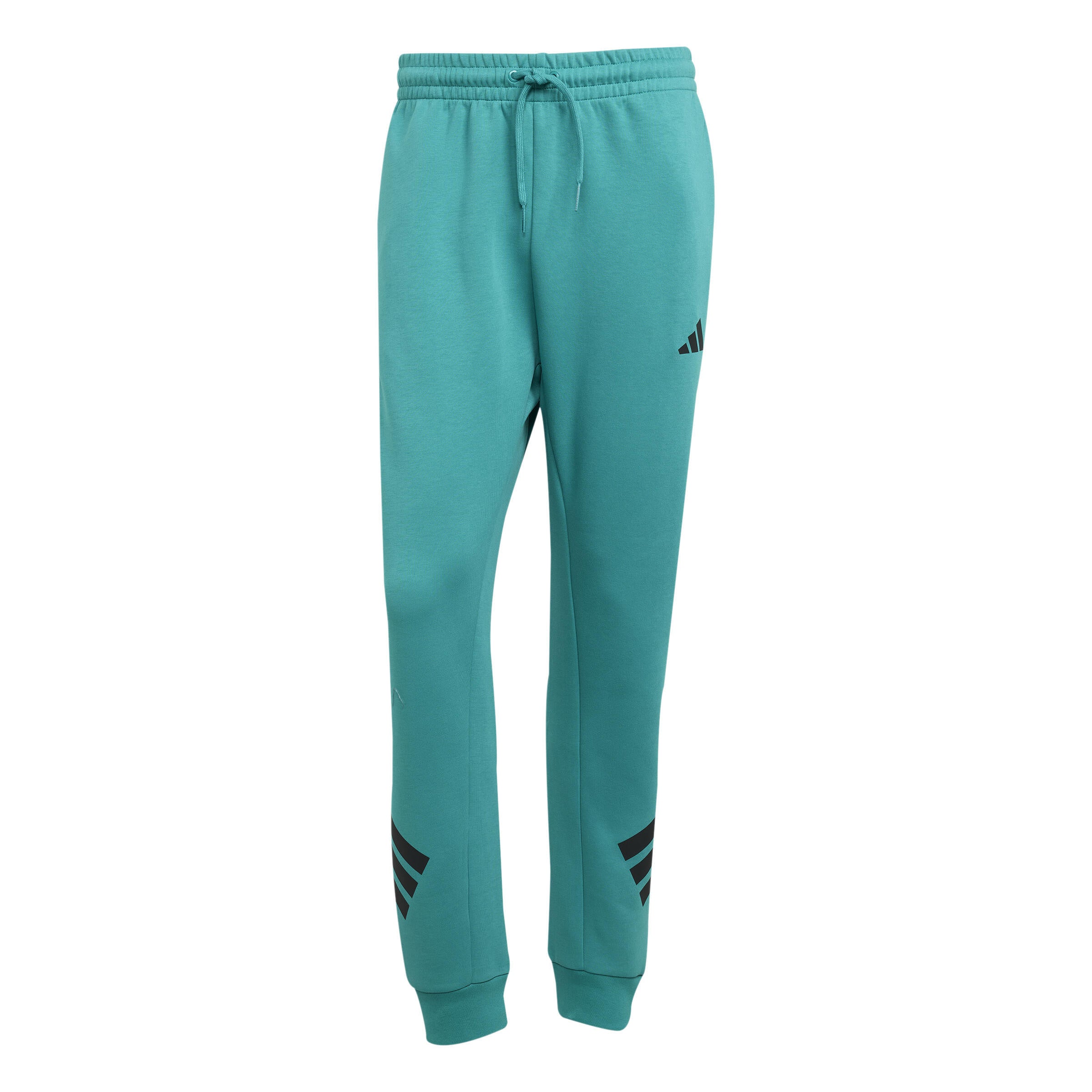Joggpant Regular Fit - PURTEA - Grün