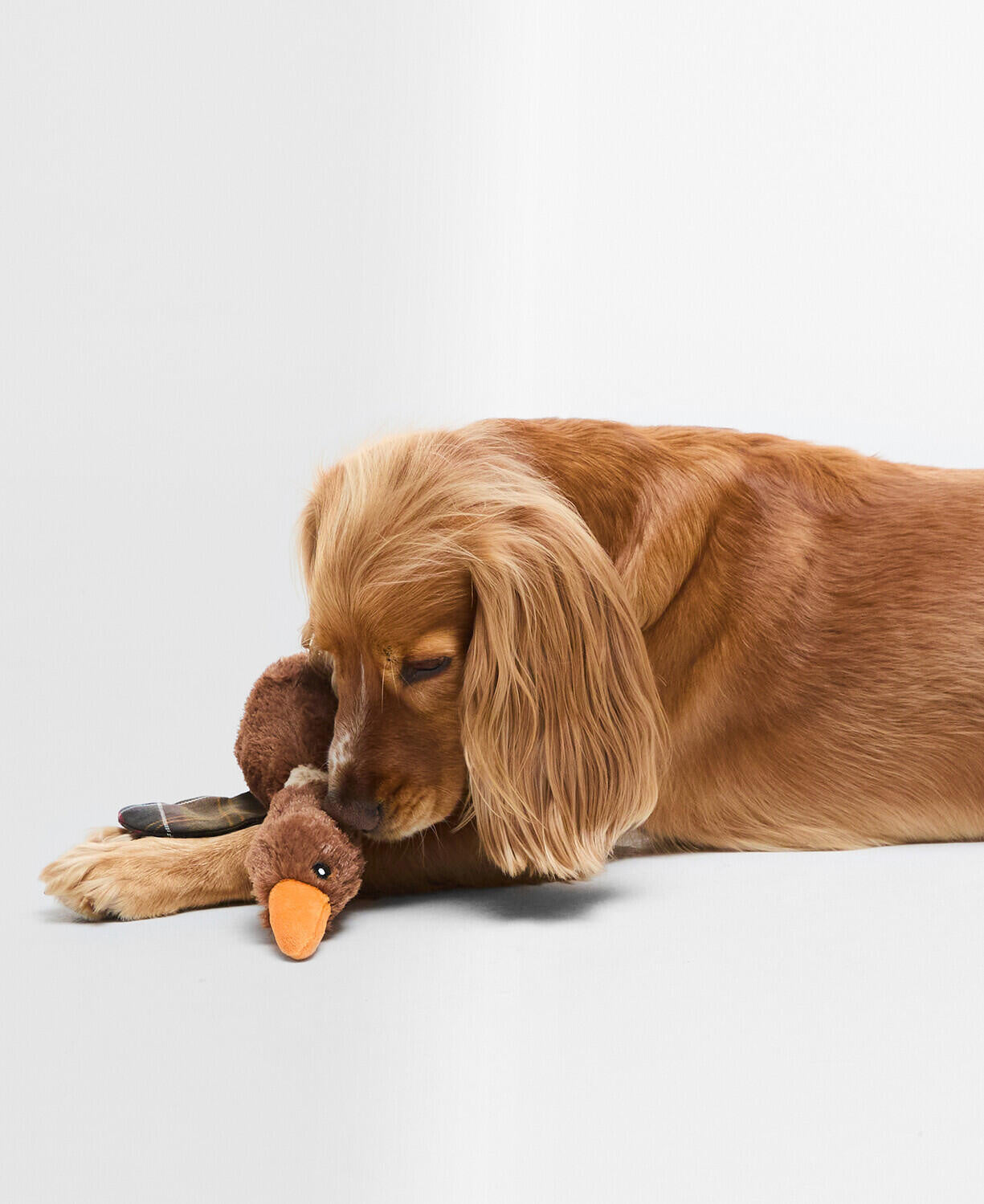 Hundespielzeug Flying Duck - BR11-Brown - Braun