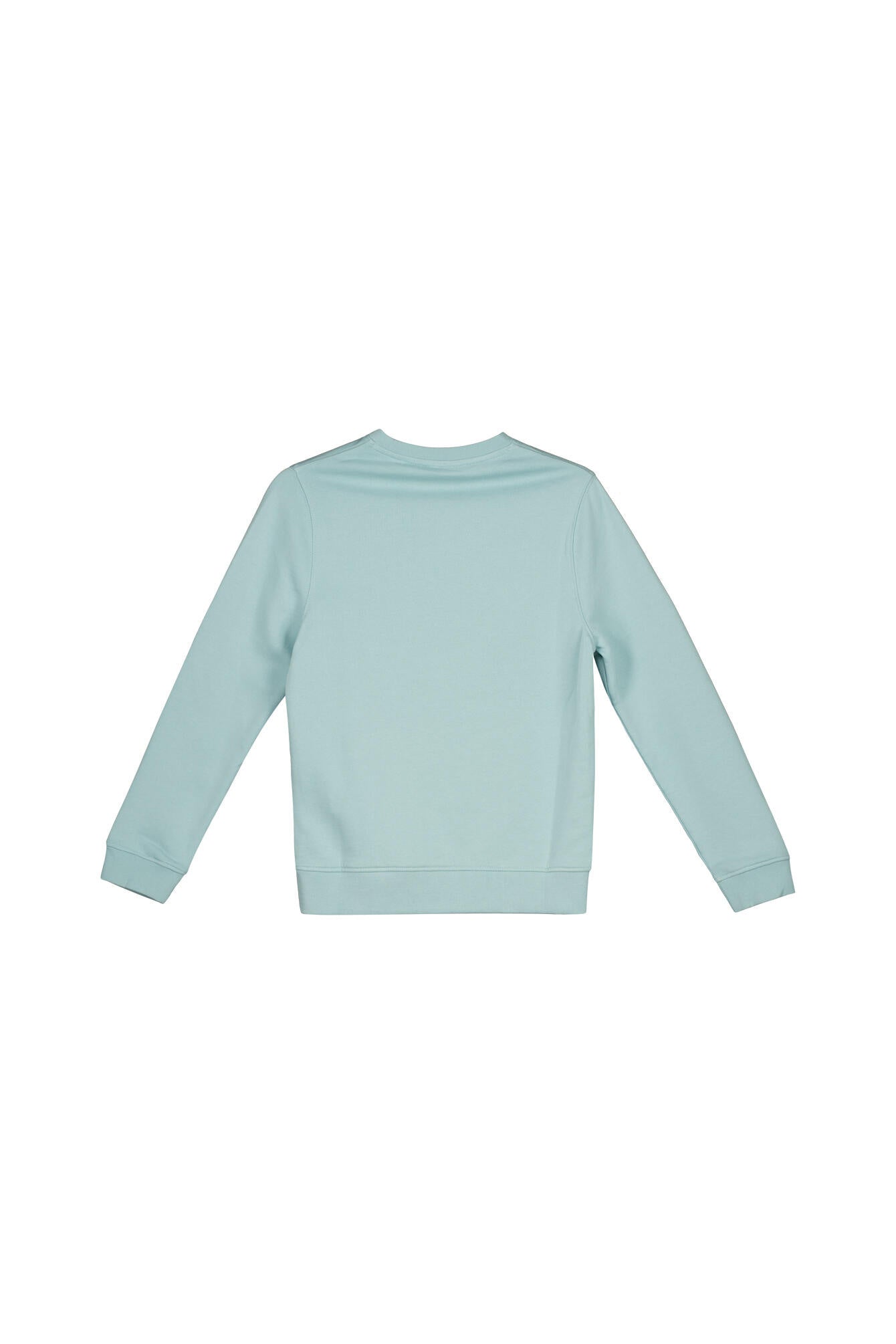 Sweatshirt aus Baumwolle - X580-Future Blue - Türkis