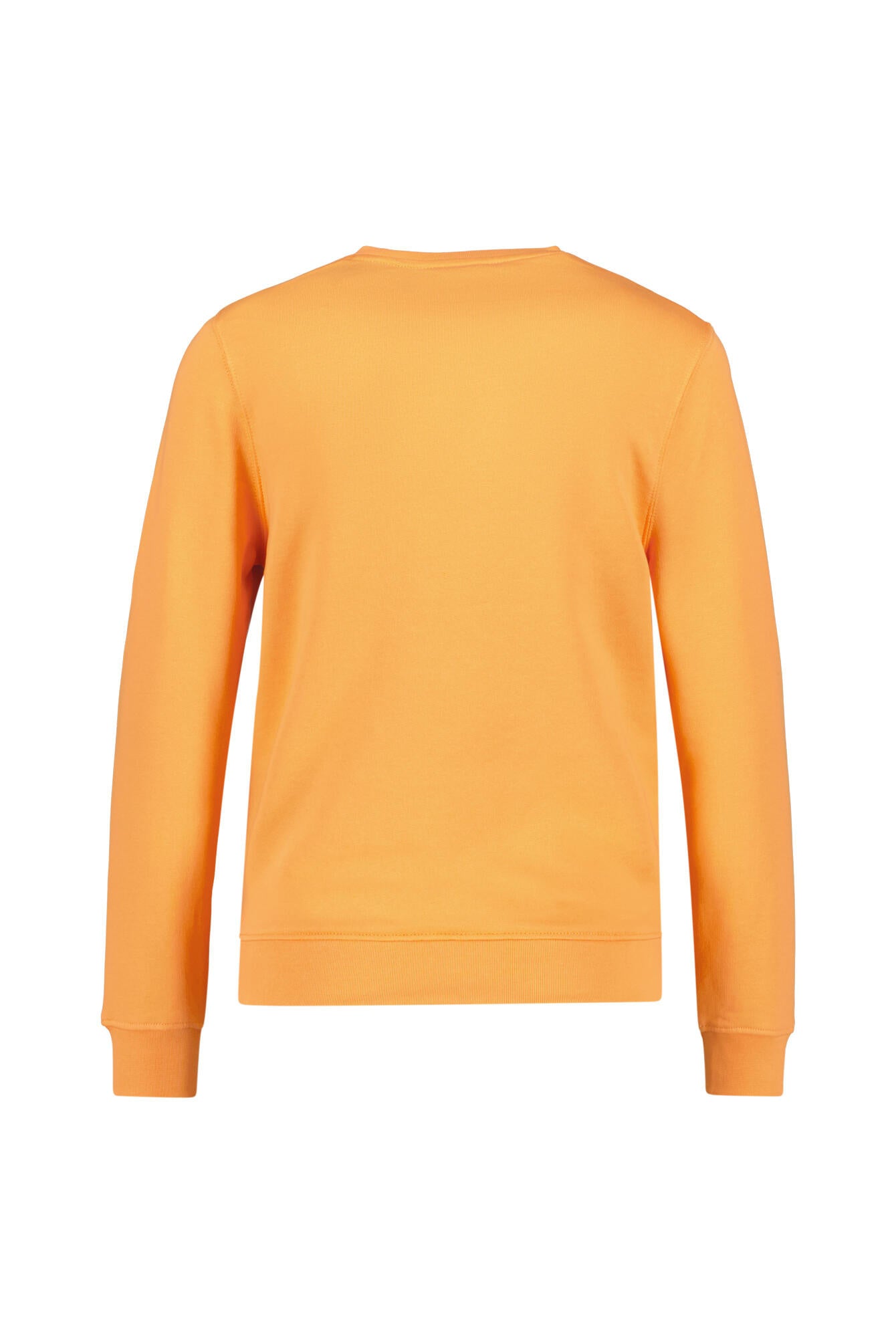 Sweatshirt aus Baumwolle - X573 Kinetic Orange - Orange