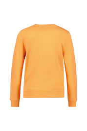 Sweatshirt aus Baumwolle - X573 Kinetic Orange - Orange