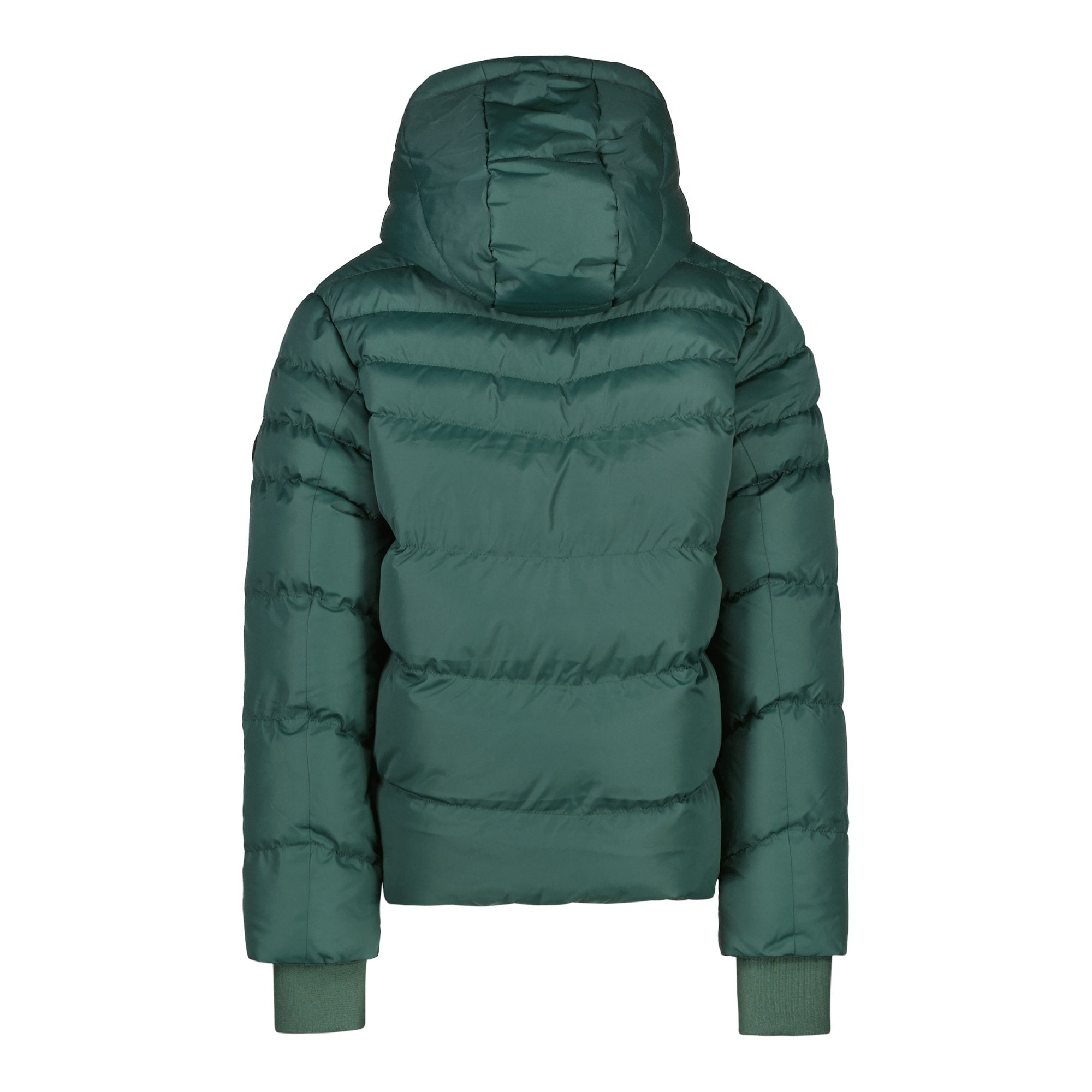 Winterjacke IC-HEYWARD jr. - 46-Bottle - Grün