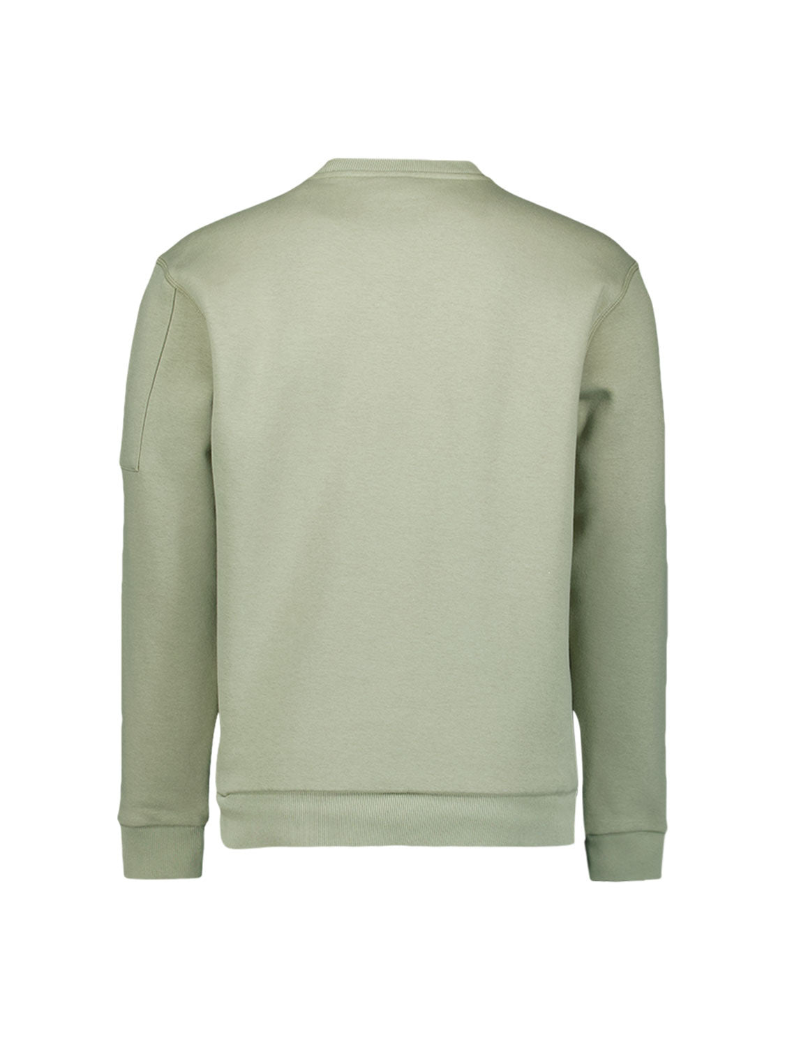 Sweatshirt - 197-Light Moss - Grün