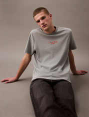 T-Shirt aus Baumwolle - CKM-BLUE - Grau