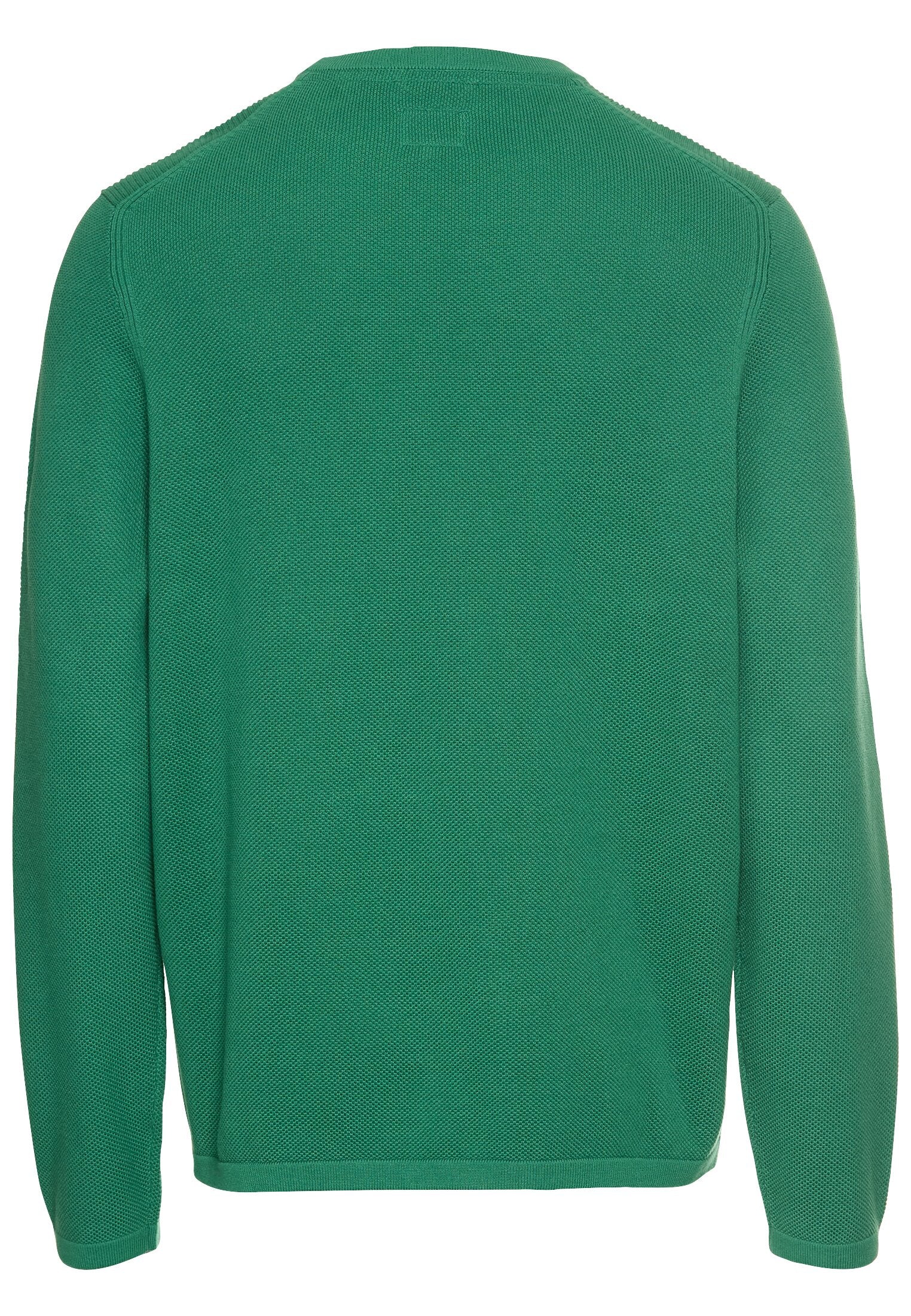 Pullover aus reiner Baumwolle - 38-Fir Green - Grün