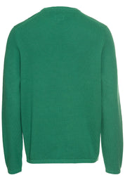 Pullover aus reiner Baumwolle - 38-Fir Green - Grün