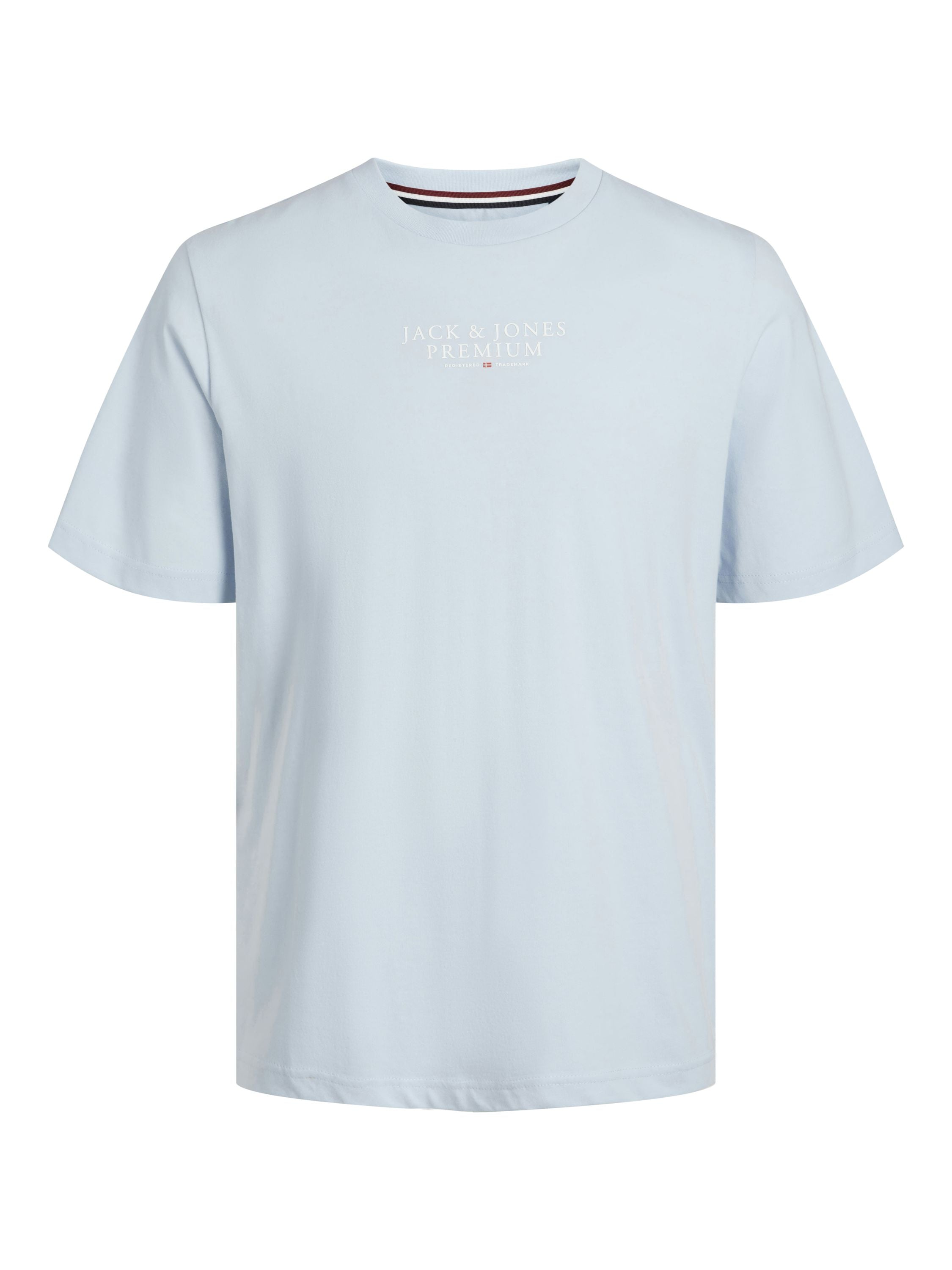 T-Shirt mit Logoprint - Skyway - Blau