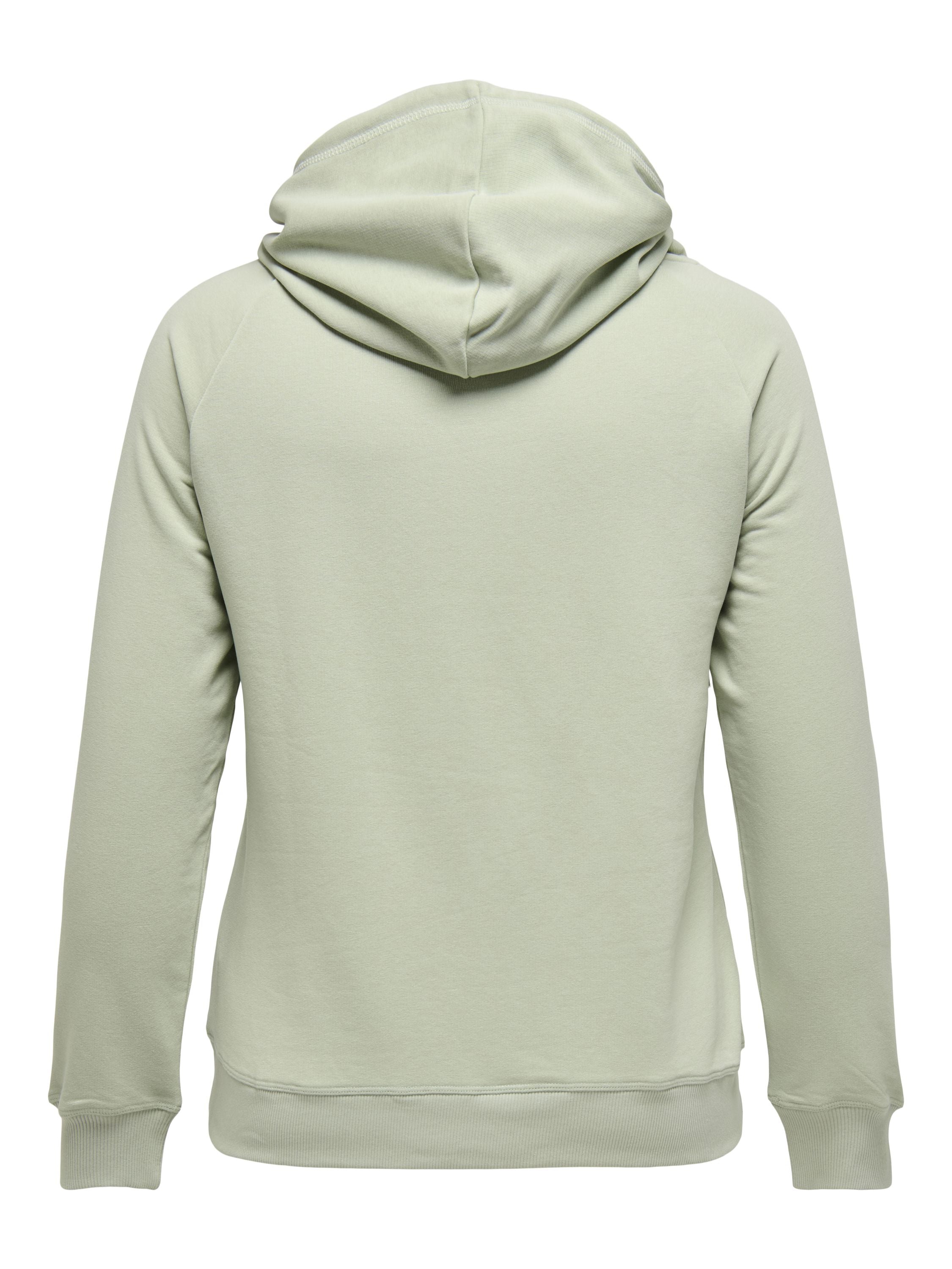 Kapuzenpullover - Desert Sage/W. Desert Sage lur - Grün