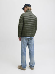 Steppjacke - Rosin - Grün