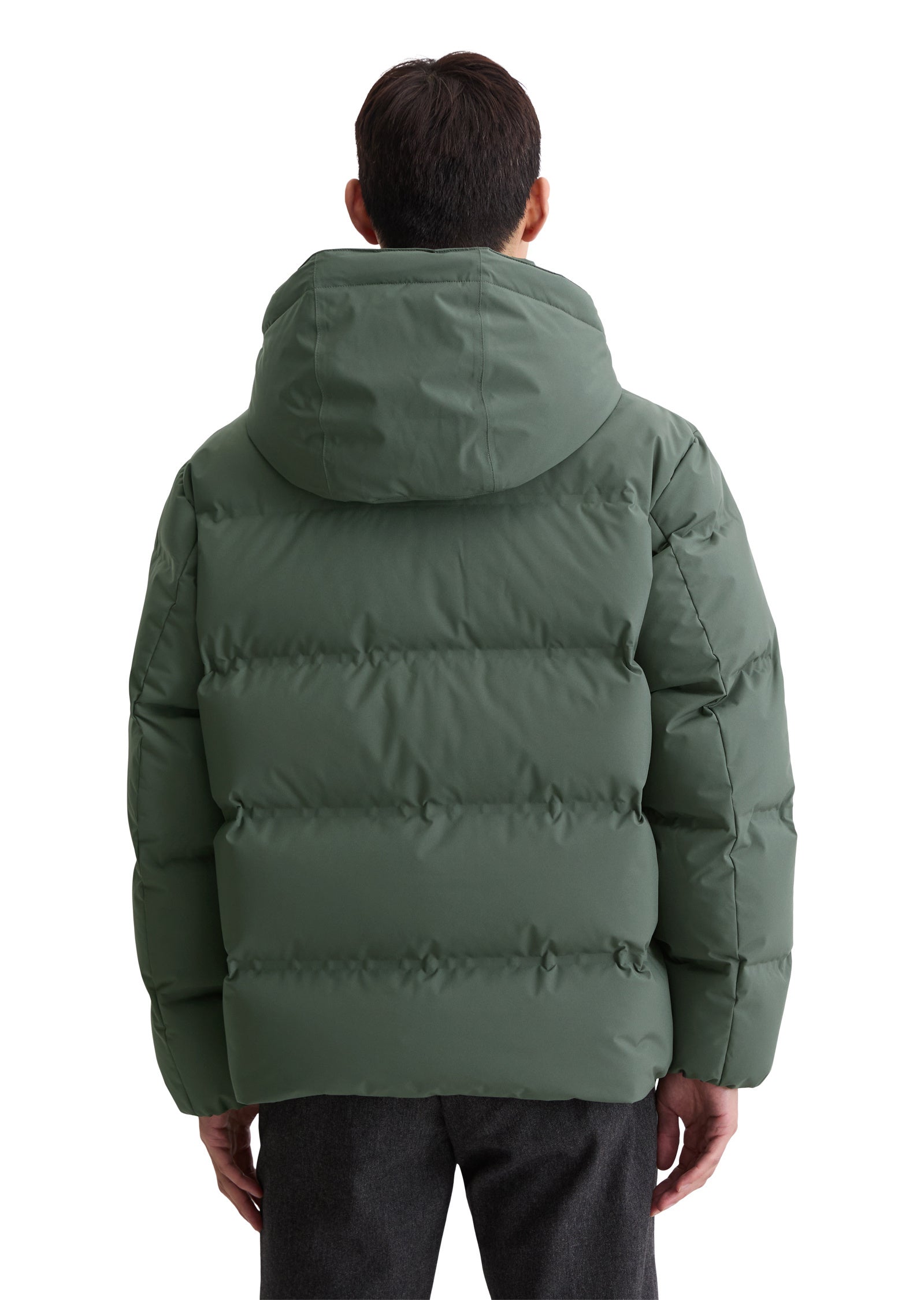 Daunenjacke MOP x Function - 451-mangrove - Grün