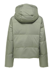 Daunenjacke mit Kapuze - Vetiver - Grün