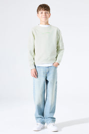 Sweatshirt aus Baumwolle - 6727-milky green - Grün